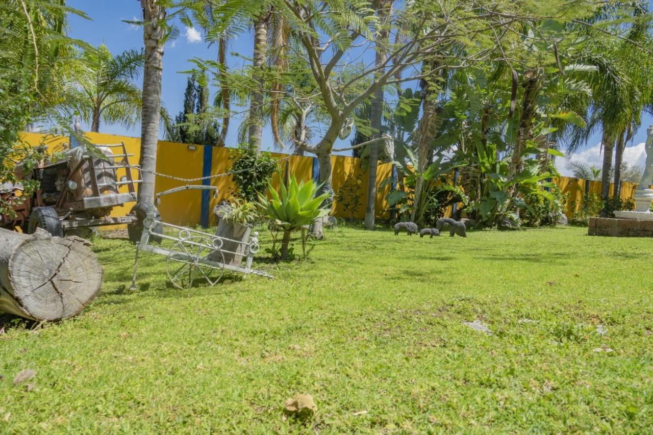 Hotel & Bungalows Las Palmas Villa Corona ภายนอก รูปภาพ